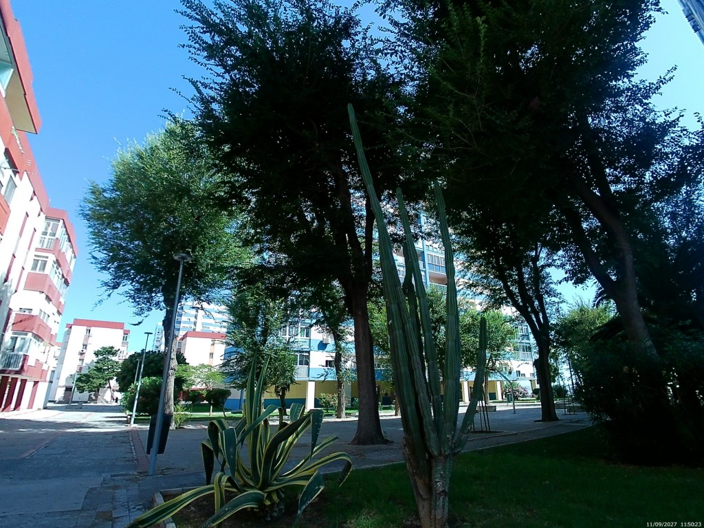 Foto de Cádiz (Andalucía), España