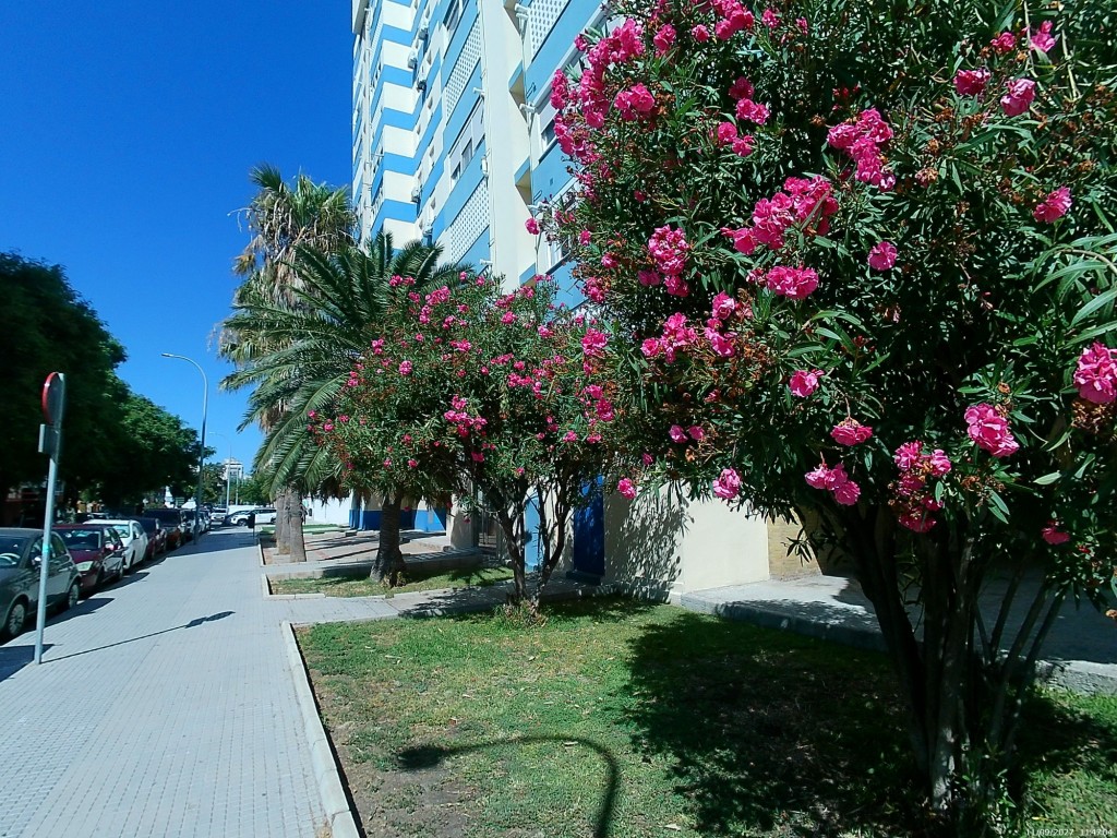 Foto de Cádiz (Andalucía), España
