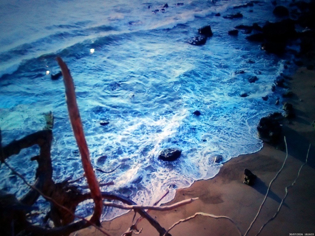 Foto de Conil de la Frontera (Cádiz), España