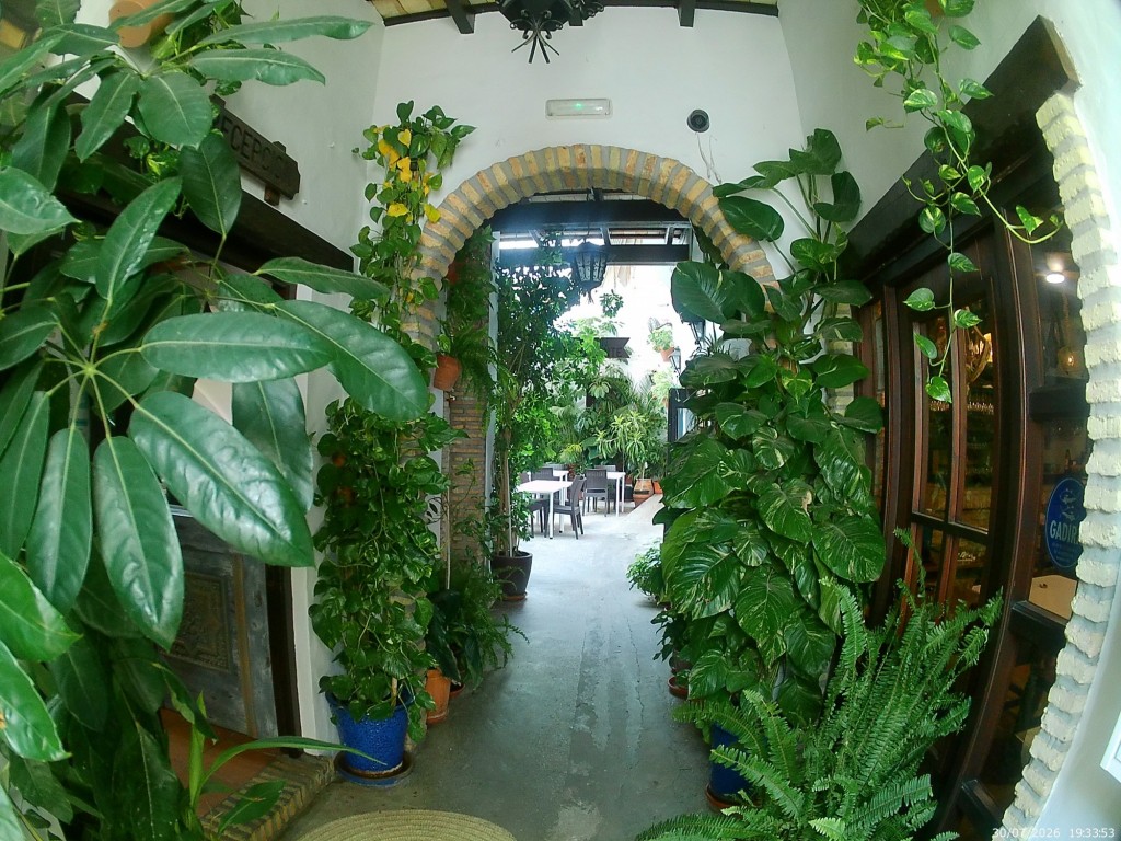 Foto de Conil de la Frontera (Cádiz), España