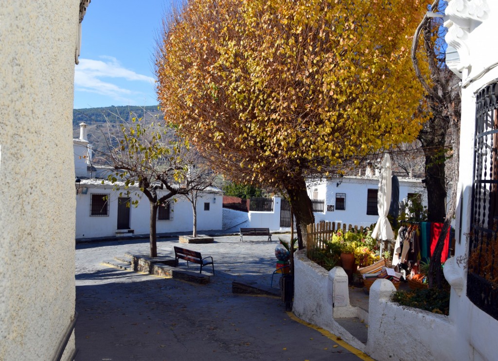 Foto: Calle a la Plaza Calvario - Capileira (Granada), España