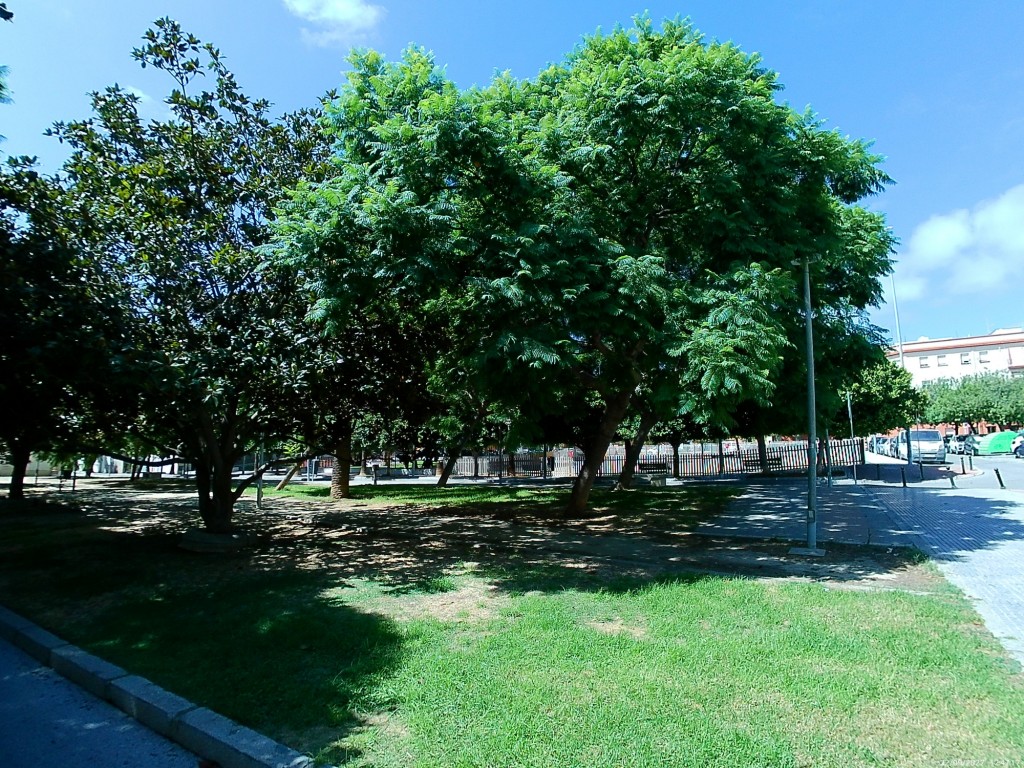 Foto: Plaza Santa Ana - Cádiz (Andalucía), España