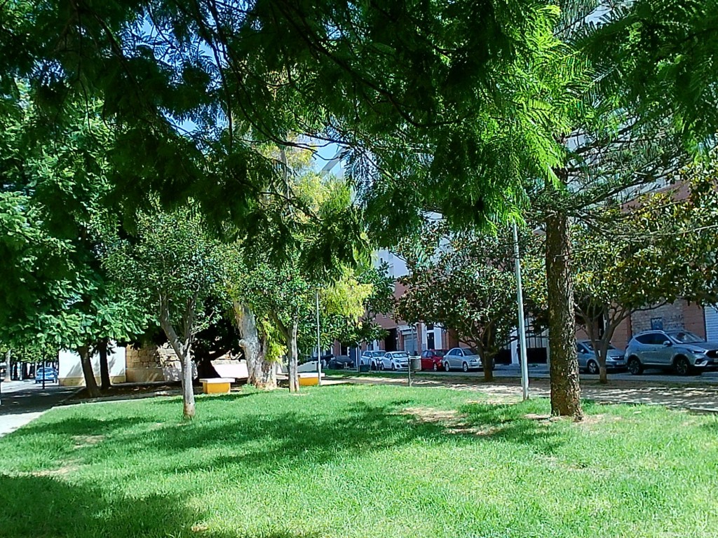 Foto: Jardin de la Historia - Cádiz (Andalucía), España