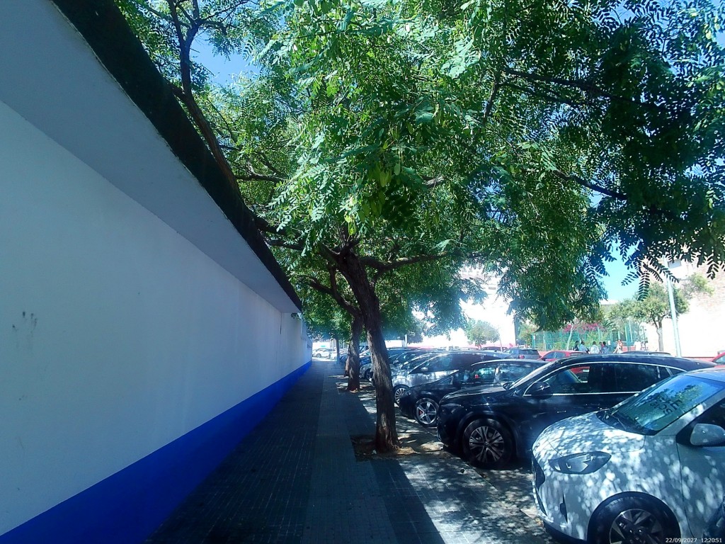 Foto: Acera Amiel - Cádiz (Andalucía), España