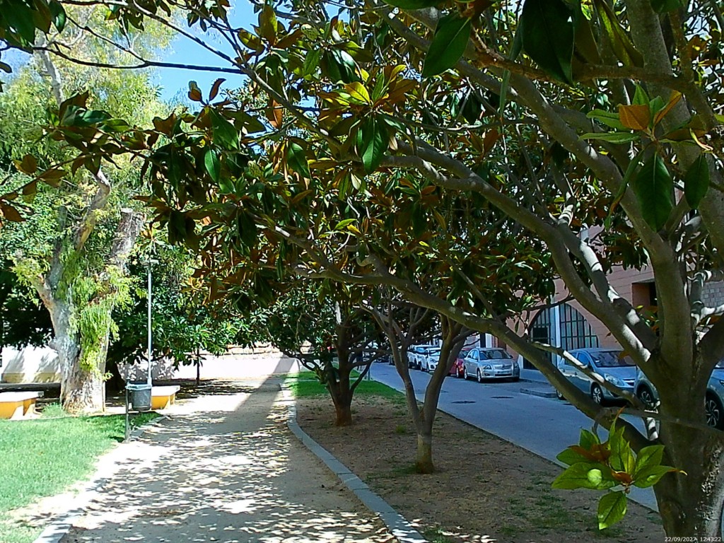 Foto: Jardin de la Historia - Cádiz (Andalucía), España
