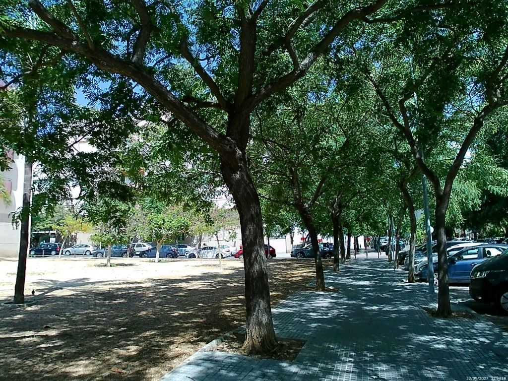 Foto de Cádiz (Andalucía), España