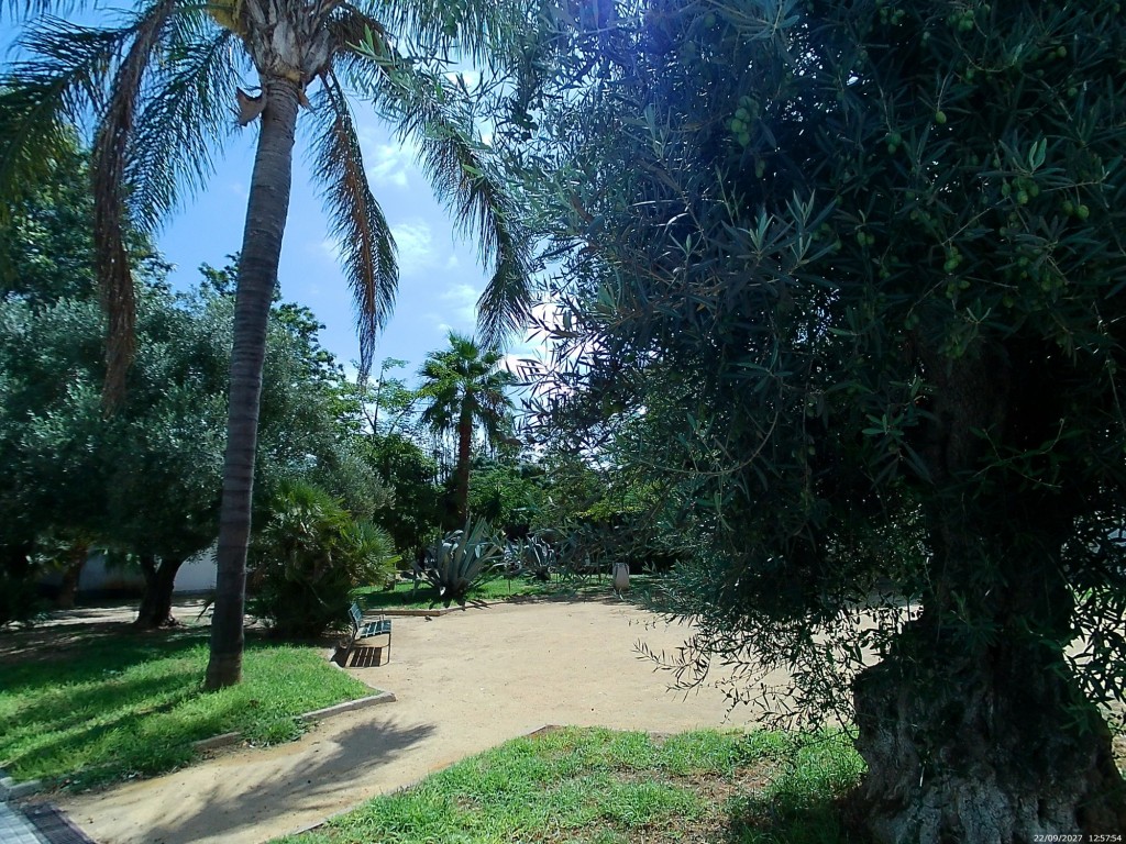 Foto de Cádiz (Andalucía), España