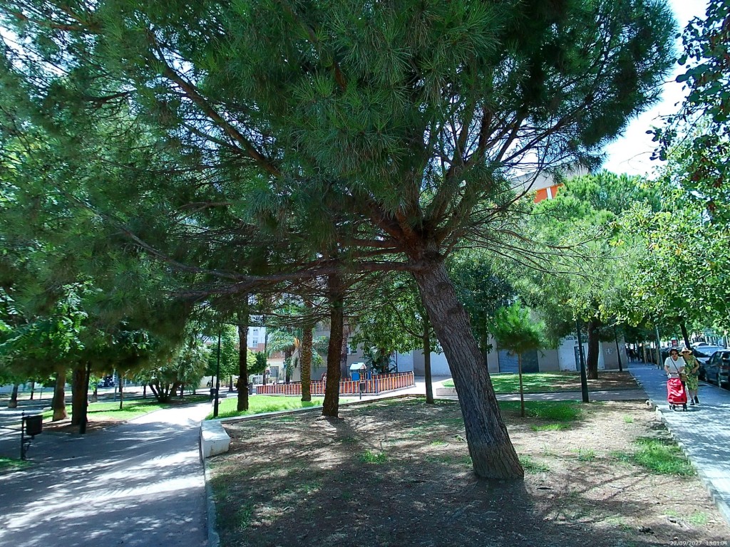 Foto de Cádiz (Andalucía), España