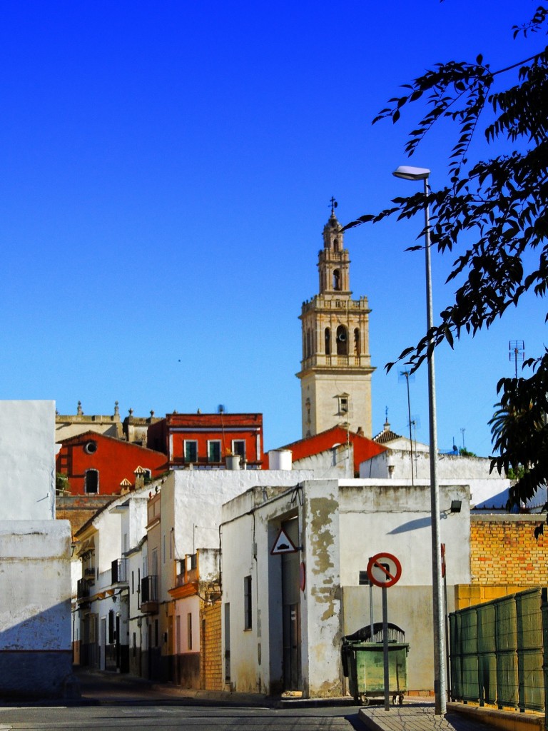 Foto: Calle Álamos - Lebrija (Sevilla), España