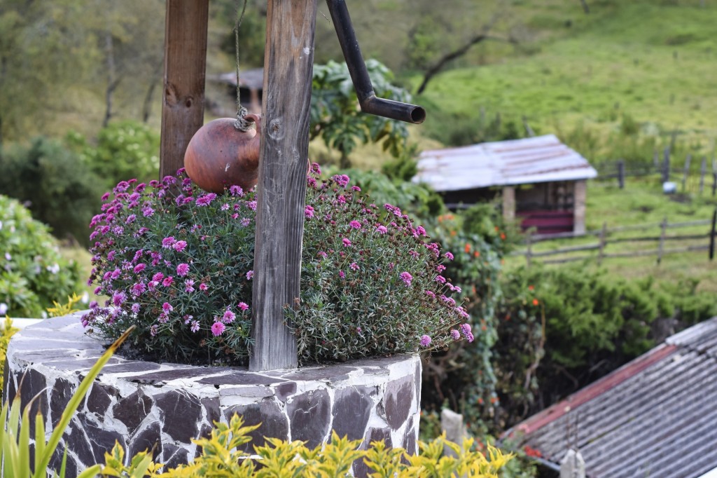 Foto: Granja de nazaret - Villapinzon (Cundinamarca), Colombia