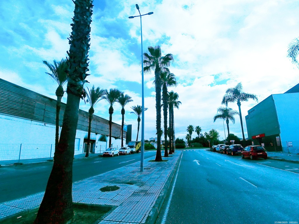 Foto: Calle Avenida de Bonanza - Jerez de la Frontera (Cádiz), España