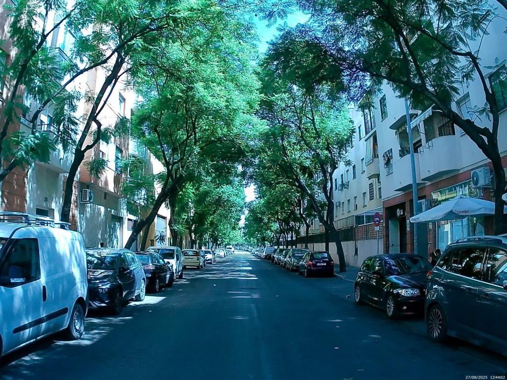 Foto: Calle José de Soto y Molina - Jerez de la Frontera (Cádiz), España