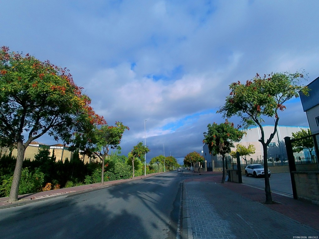 Foto: Avenida de Rota - Jerez de la Frontera (Cádiz), España