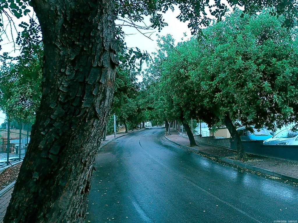 Foto: Calle del Desconsuelo - Jerez de la Frontera (Cádiz), España