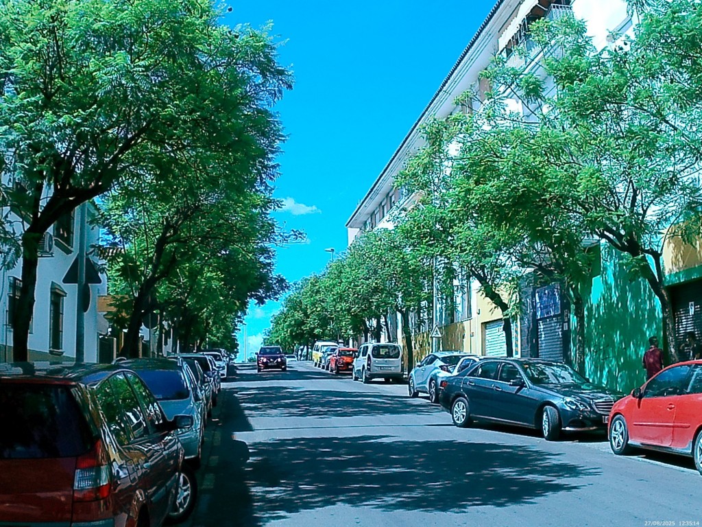 Foto: Calle José de Soto y Molina - Jerez de la Frontera (Cádiz), España