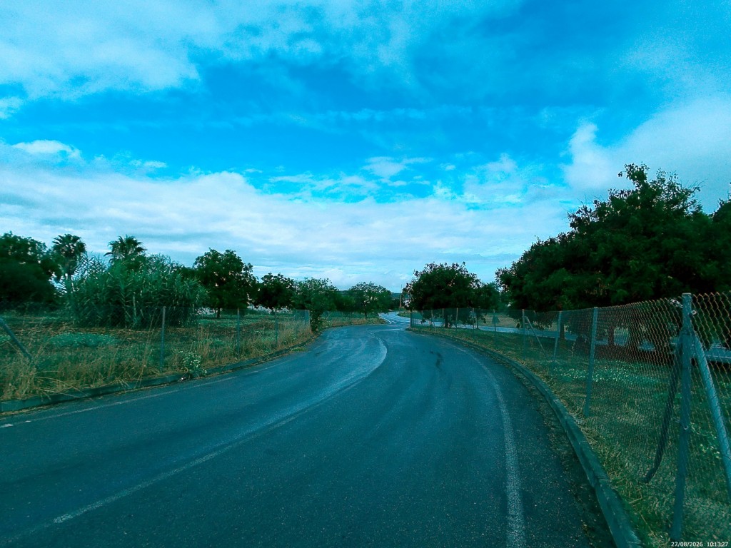 Foto: Carretera Albia - Jerez de la Frontera (Cádiz), España
