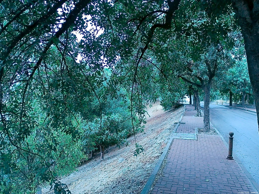 Foto: Calle del Desconsuelo - Jerez de la Frontera (Cádiz), España
