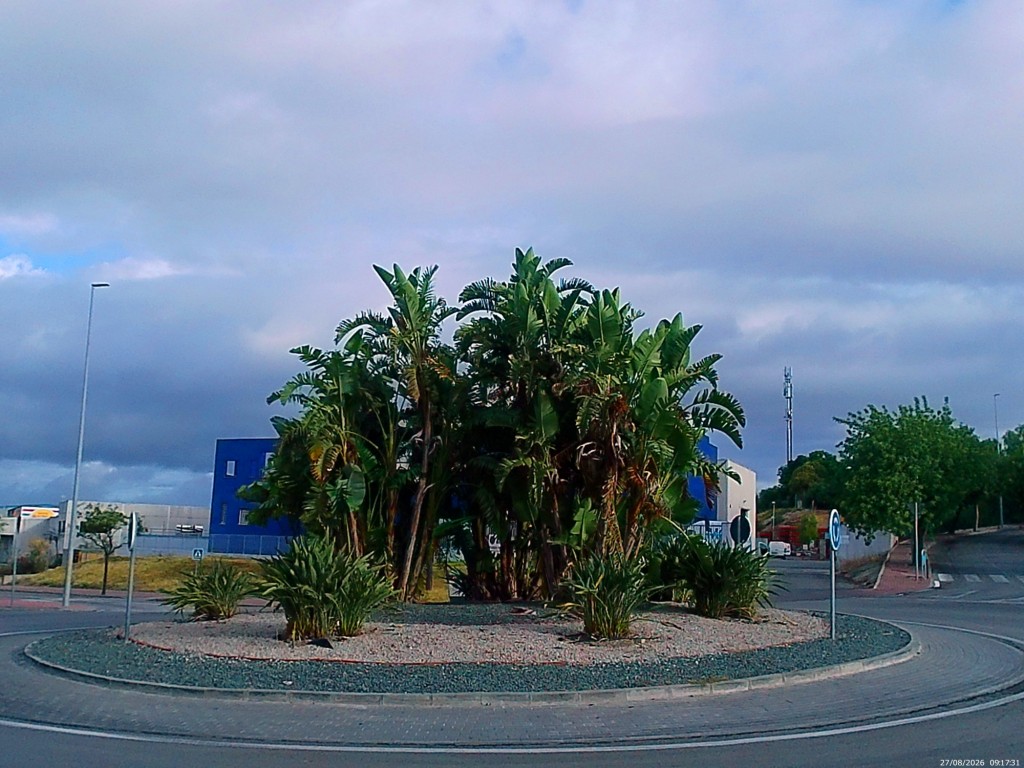 Foto: Rotonda Las Copas - Jerez de la Frontera (Cádiz), España