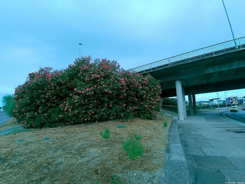 Foto: Circunvalación - Jerez de la Frontera (Cádiz), España