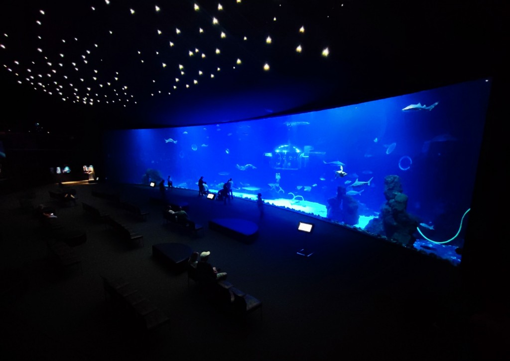 Foto: Acuario Poema del Mar - Las Palmas de Gran Canaria (Las Palmas), España