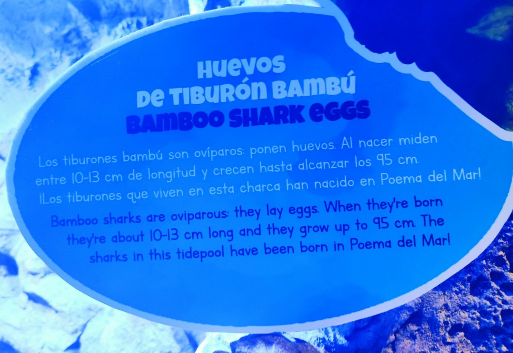 Foto: Acuario Poema del Mar - Las Palmas de Gran Canaria (Las Palmas), España