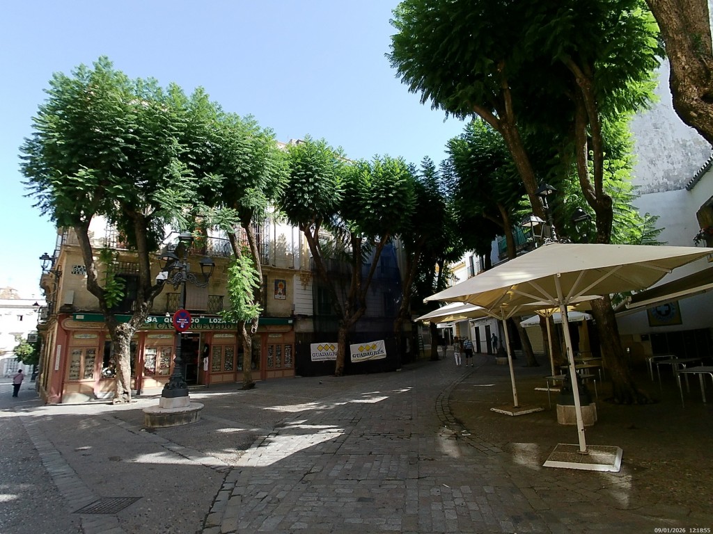 Foto: Plaza de la Yerba - Jerez de la Frontera (Cádiz), España