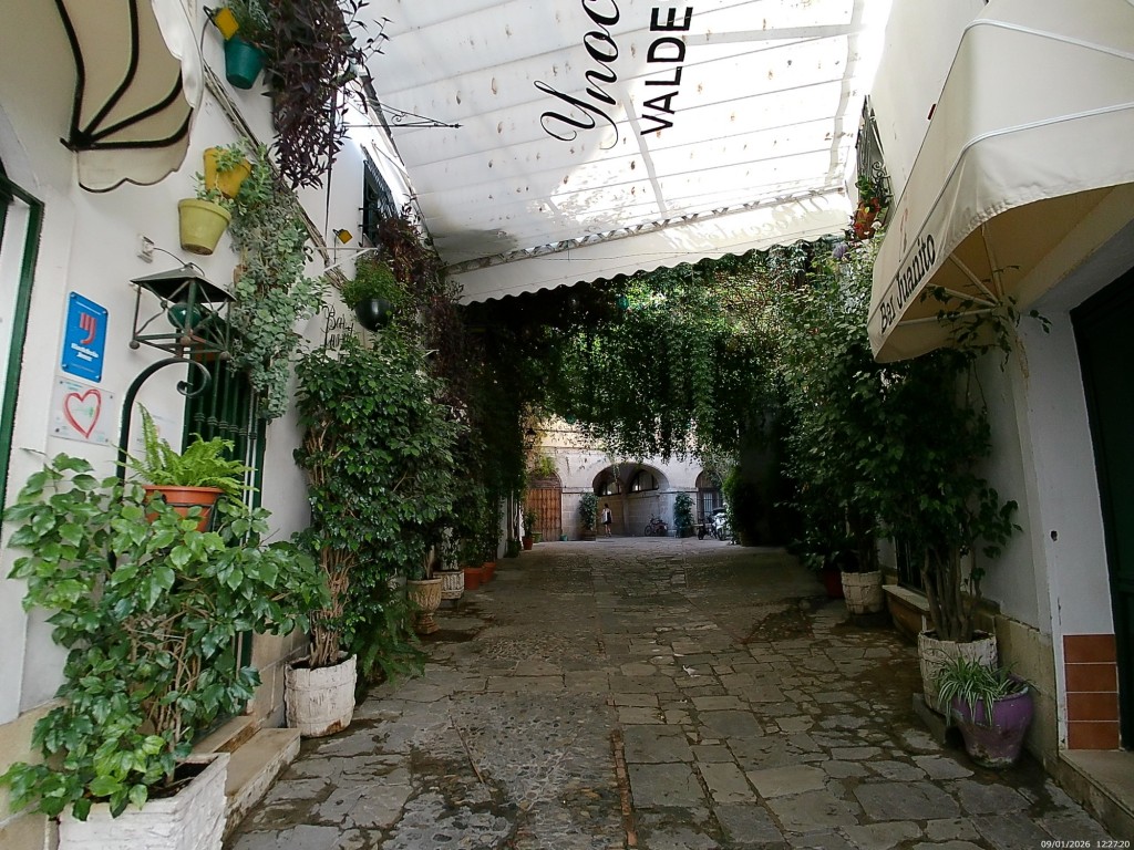 Foto: Bar Juanito - Jerez de la Frontera (Cádiz), España