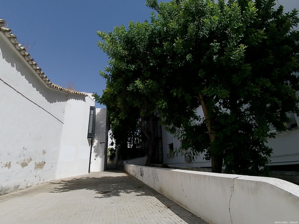 Foto: Calle Limones - Jerez de la Frontera (Cádiz), España