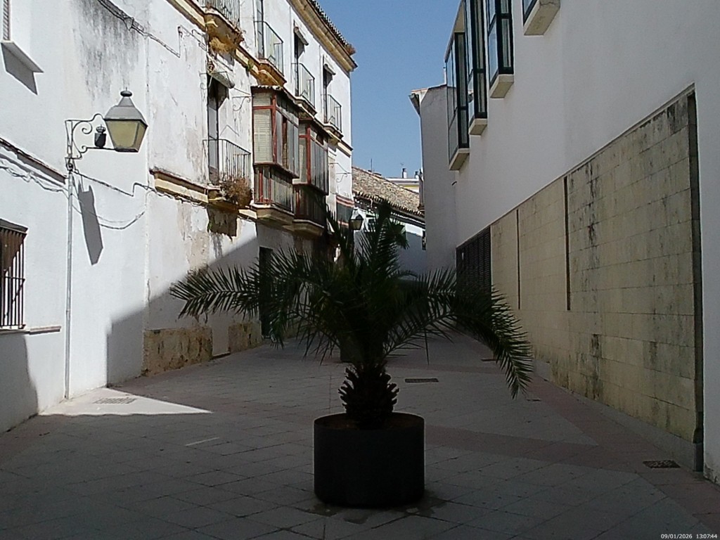Foto: Calle San Fernando - Jerez de la Frontera (Cádiz), España