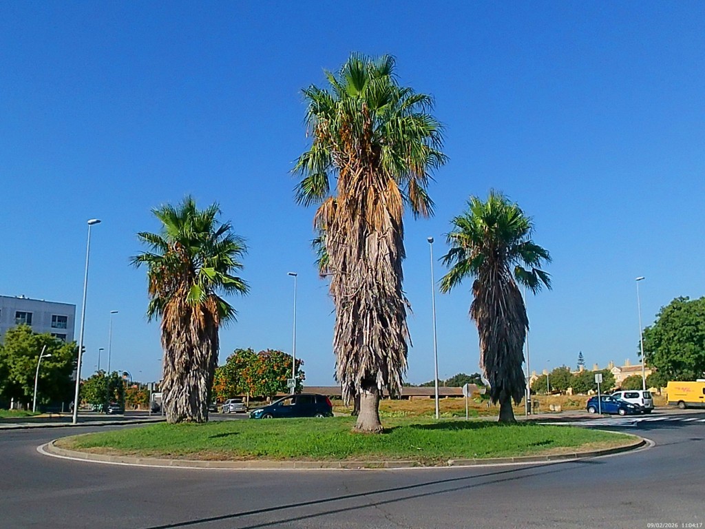 Foto de Jeréz de la Frontera (Cádiz), España