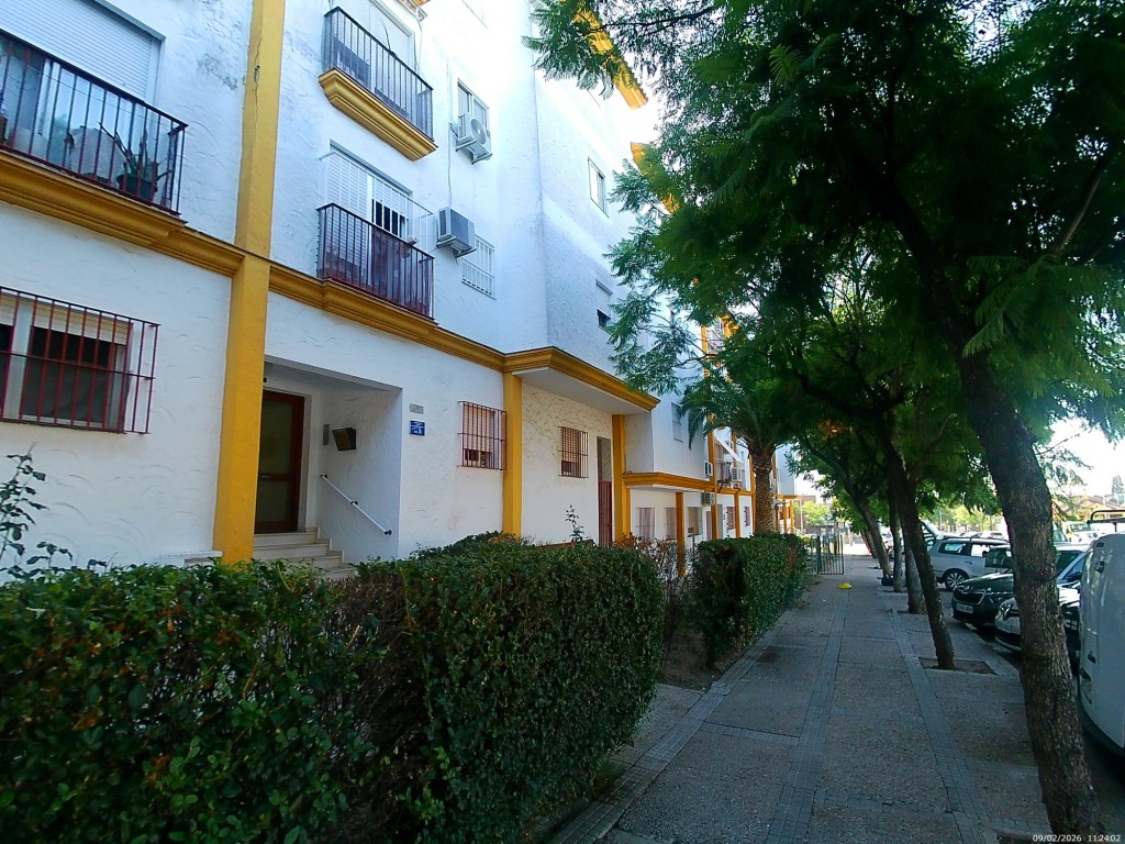 Foto: Residencia Azul - Jeréz de la Frontera (Cádiz), España