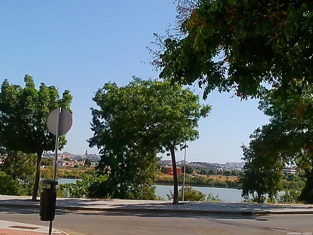 Foto de Jeréz de la Frontera (Cádiz), España