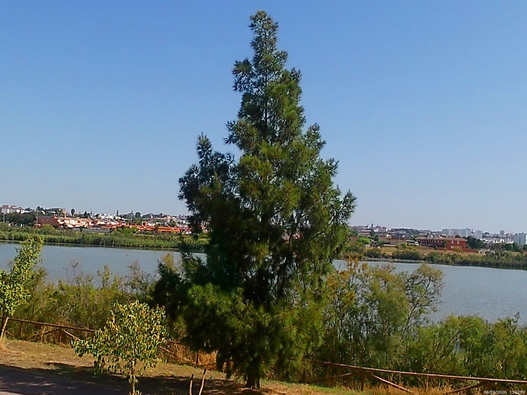Foto de Jeréz de la Frontera (Cádiz), España