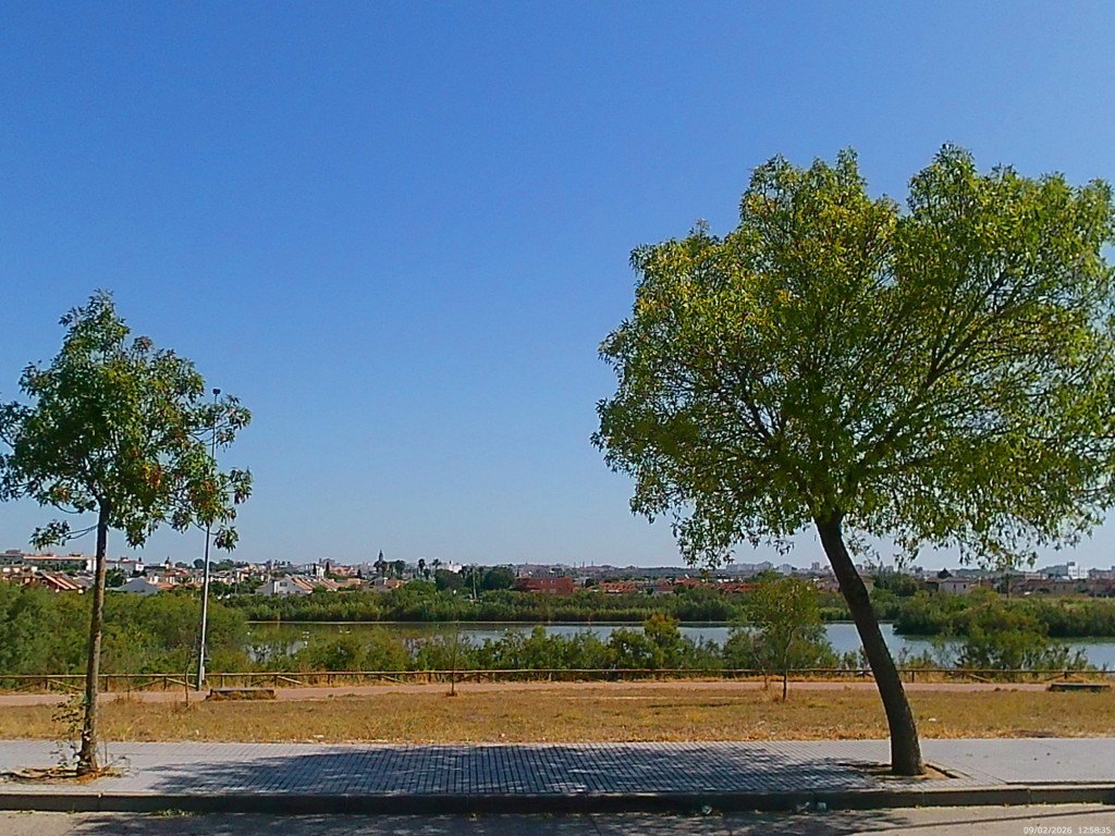 Foto de Jeréz de la Frontera (Cádiz), España