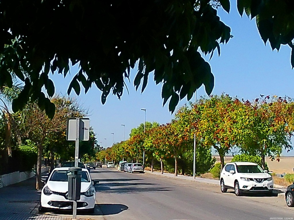 Foto: Calle Alemania - Jeréz de la Frontera (Cádiz), España
