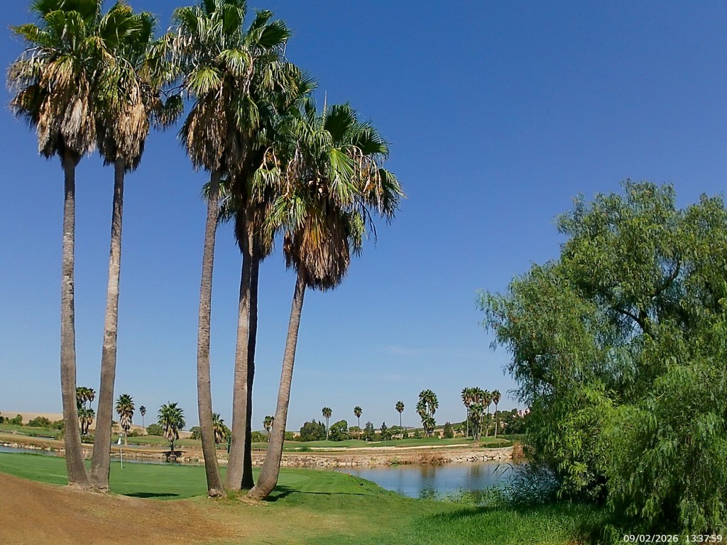 Foto de Jeréz de la Frontera (Cádiz), España