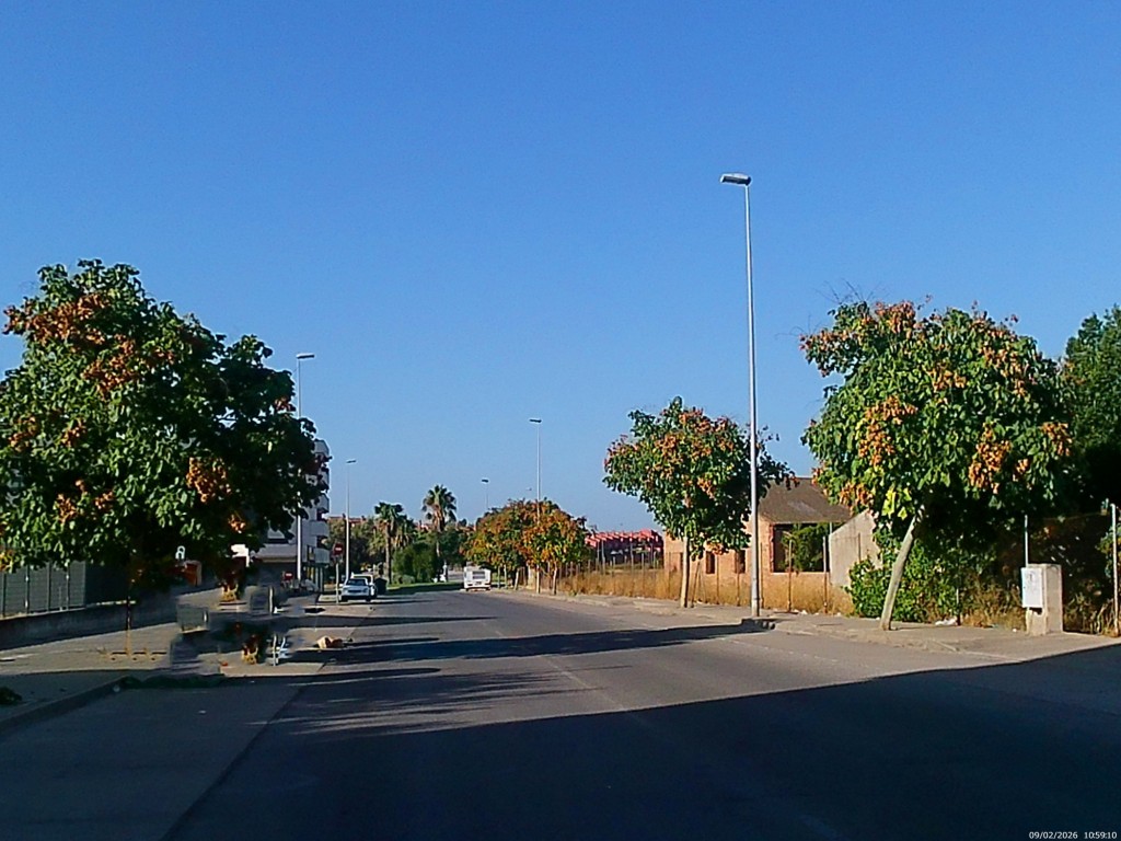 Foto de Jeréz de la Frontera (Cádiz), España
