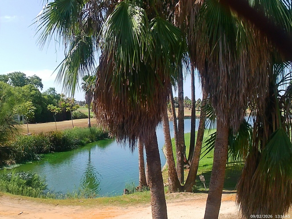 Foto de Jeréz de la Frontera (Cádiz), España