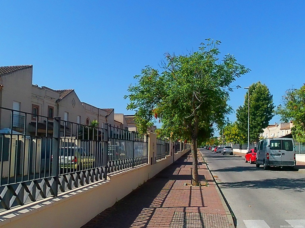 Foto: Calle Dinamarca - Jeréz de la Frontera (Cádiz), España