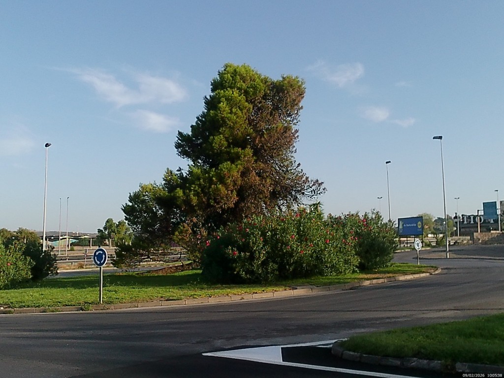 Foto: Rotonda Circunvalación - Jeréz de la Frontera (Cádiz), España