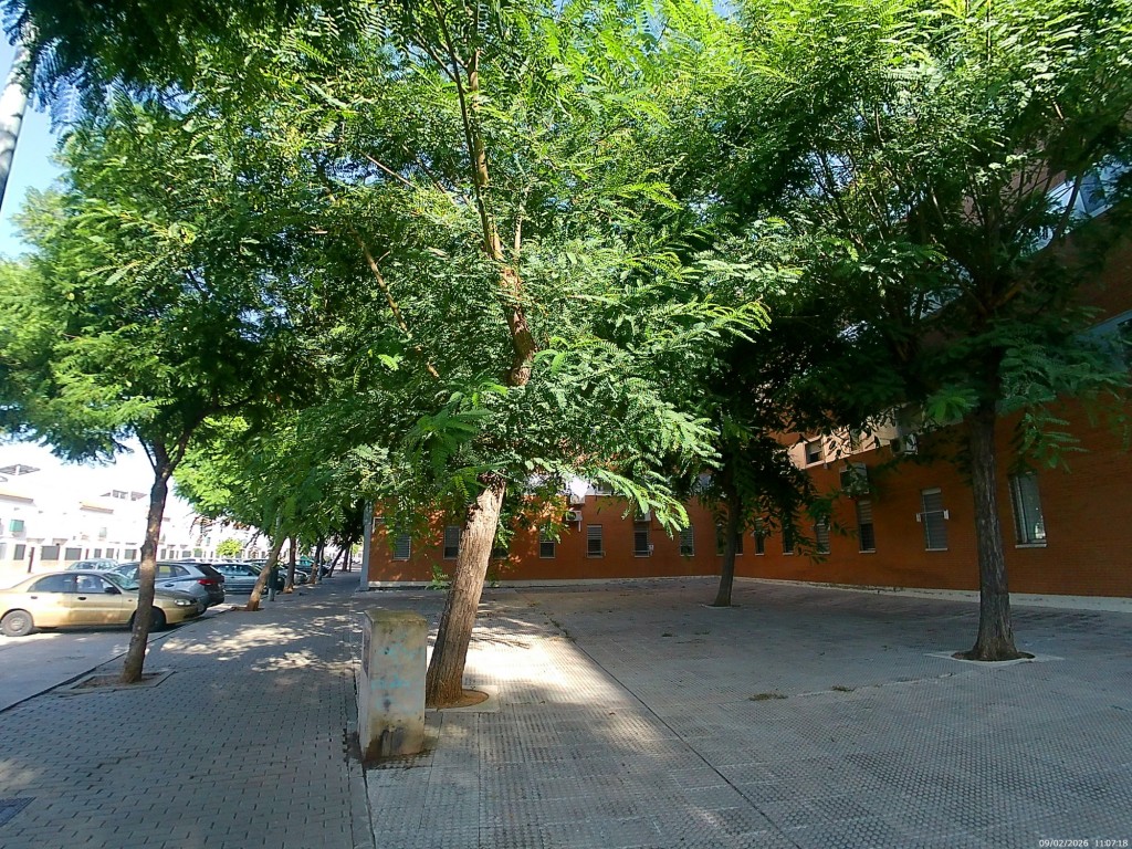 Foto de Jeréz de la Frontera (Cádiz), España