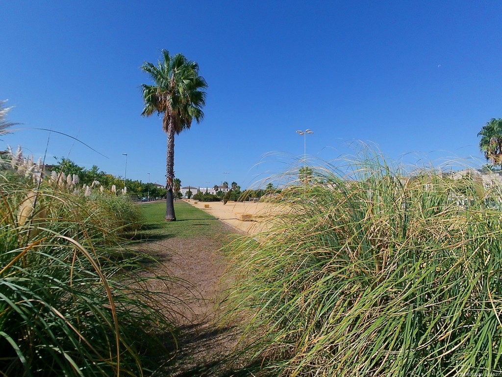 Foto de Jeréz de la Frontera (Cádiz), España