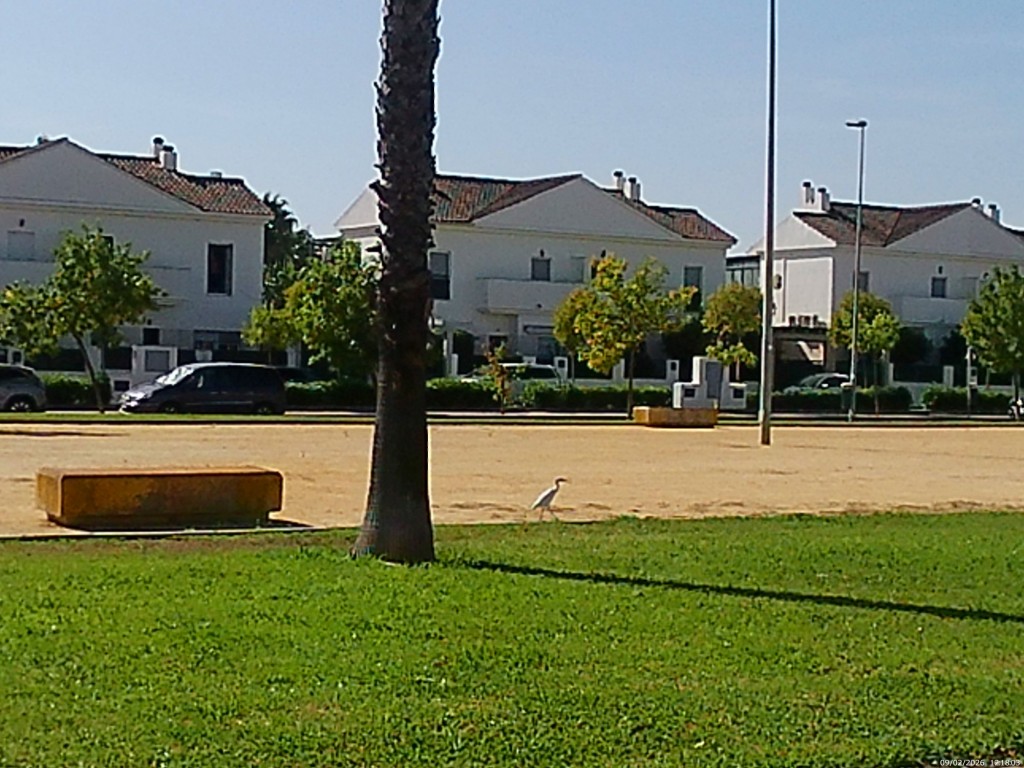 Foto de Jeréz de la Frontera (Cádiz), España