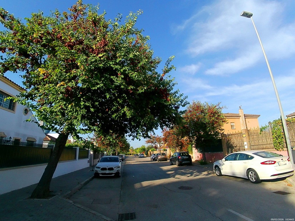 Foto: Calle Rusia - Jeréz de la Frontera (Cádiz), España