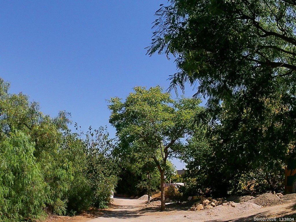 Foto de Jeréz de la Frontera (Cádiz), España