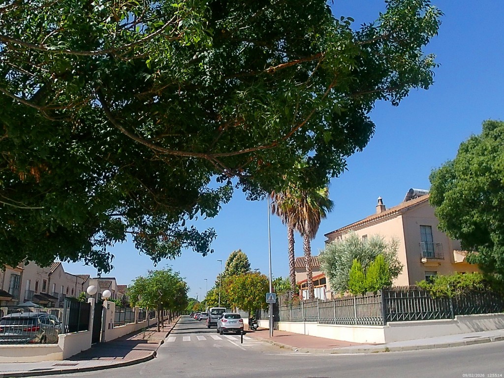 Foto de Jeréz de la Frontera (Cádiz), España
