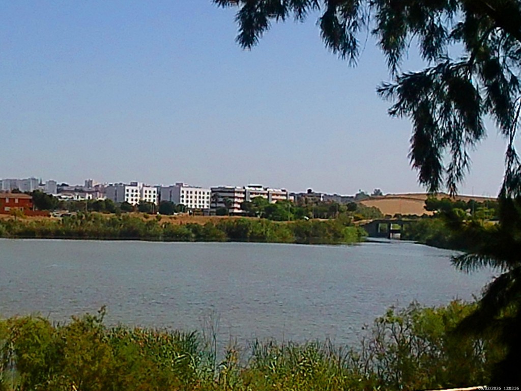 Foto de Jeréz de la Frontera (Cádiz), España