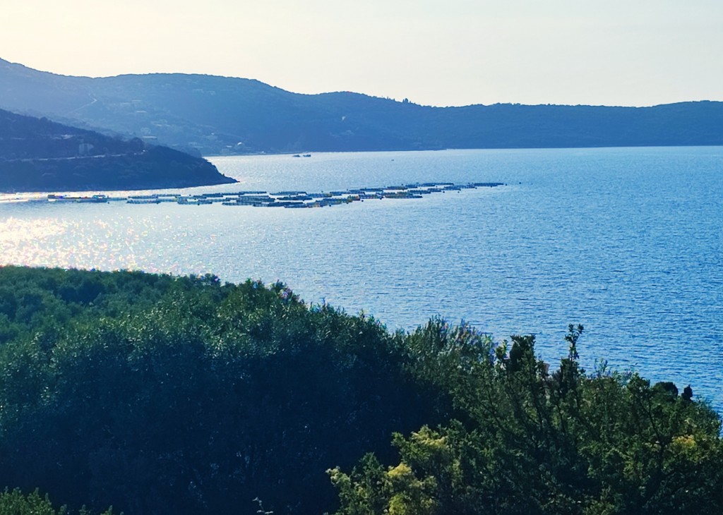 Foto: Kassiopi - Κασσιόπη (Ionian Islands), Grecia
