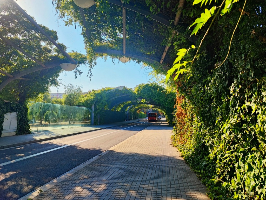Foto: Parc del Centre del Poblenou - Barcelona (Cataluña), España