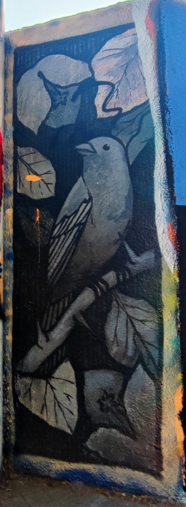Foto: Grafitti Urbano - Barcelona (Cataluña), España